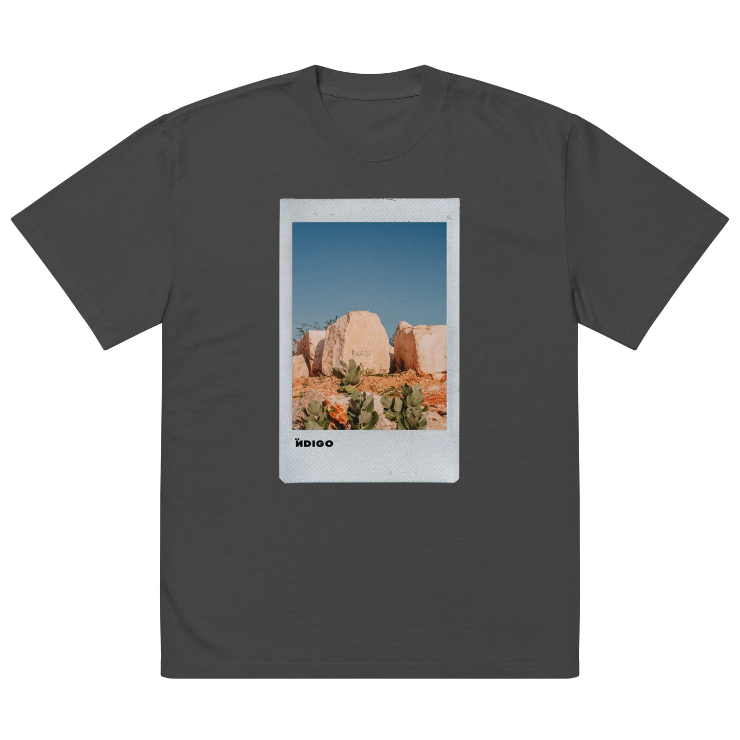 Ïndigo Polaroid Oversized faded t-shirt