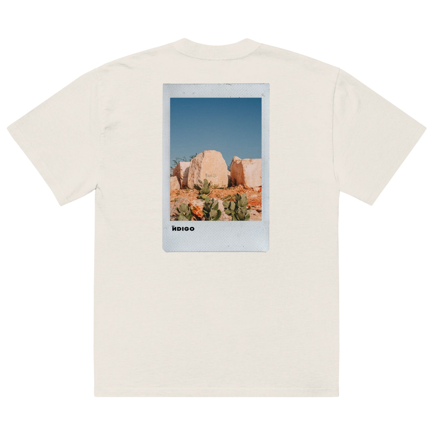 Ïndigo Polaroid Oversized faded t-shirt